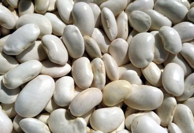 TIK_Cookingtours_white_beans