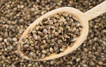 can-hemp-seeds-make-you-fail-a-drug-test