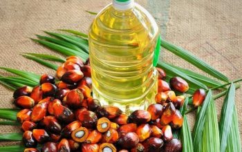 palm-oil